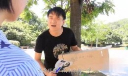 街头免费吃瓜骗局视频,警惕陷阱，守护你的财产安全